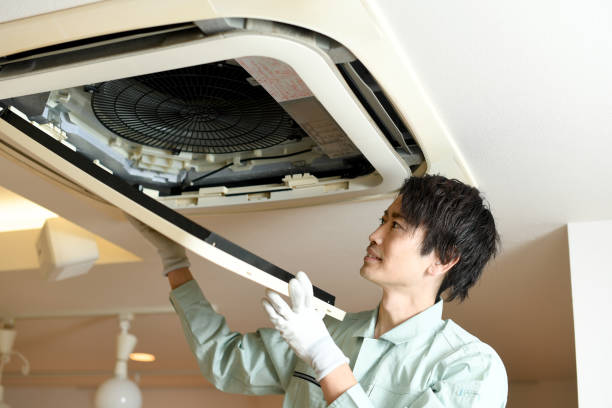 Best Ductwork Cleaning Services  in Benwood, WV